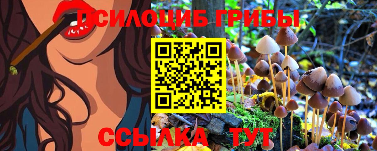 Псилоцибиновые грибы ЛСД Партизанск
