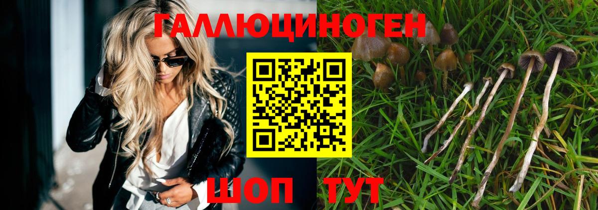 Псилоцибиновые грибы ЛСД  Галлюциногенные грибы мухоморы  Партизанск  Вход с VPN 